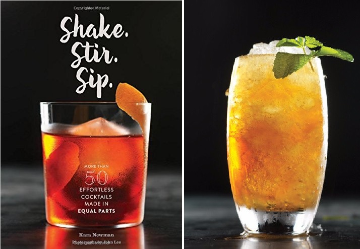 shake stir sip book