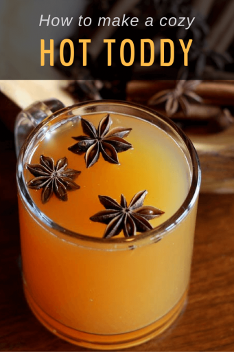 There's nothing quite like curling up by the fireside with a nice Hot Toddy in the fall and winter months, and the recipe is a snap. | Cozy Hot Toddy Recipe | Bevvy