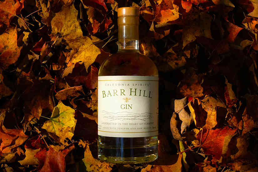 Barr Hill Gin Review
