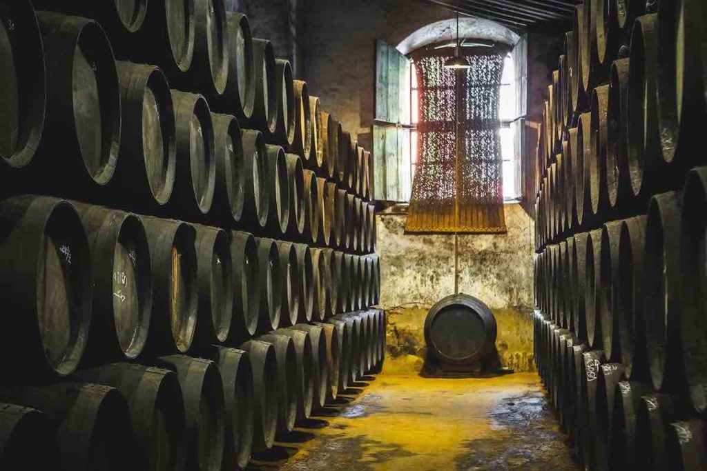 row of cardenal mendoza brandy barrels