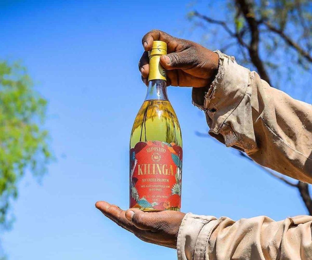 hands holding a bottle of kilinga reposado bacanora